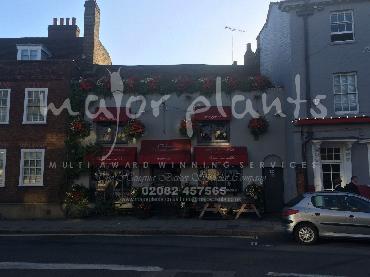 Major Plants Ltd - Our Customers - London - UK - Image 82