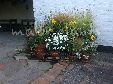 Major Plants Ltd - Pots and Troughs - London - UK - Image 