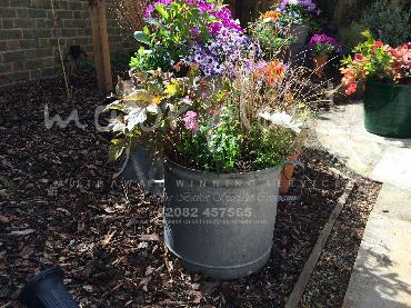 Major Plants Ltd - Pots and Troughs - London - UK - Image 131