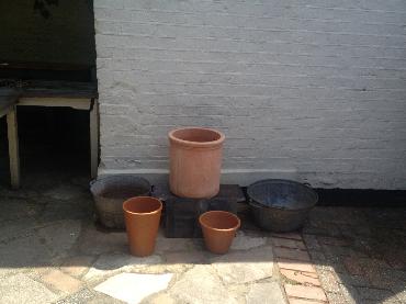 Major Plants Ltd - Pots at Kings Head - London - UK - Image 1