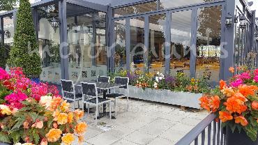 Major Plants Ltd - Window Boxes - London - UK - Image 60